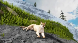 Hunting For some prey as a cougar in Yellowstone Unleashed (Roblox)