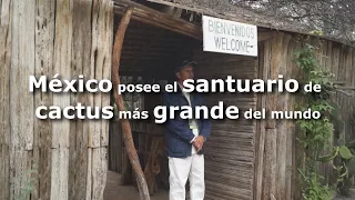 México posee el santuario de cactus más grande del mundo