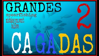 GRANDES CAGADAS II PESCA SUBMARINA SPEARFISHING GRUPER1007