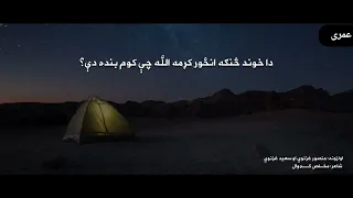 مولوی منصور غزنوی ترانی|قاری منصور غزنوی نوی ترانی|منصور غزنوي