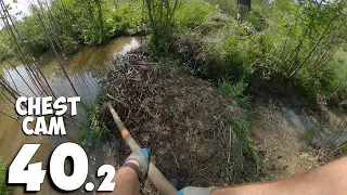 Two Hours Of Hard Work In Nature - Manual Beaver Dam Removal No.40.2 - Chest Cam