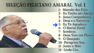 SELEÇÃO AS MELHORES FELICIANO AMARAL Vol. I