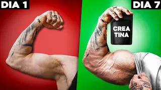 How to Use CREATINE to Gain Muscle in 7 DAYS