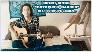 Octopus’s Garden - The Beatles (Cover) - Actually in the Garden [Brent Brown]