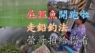 【吳郭魚走鉛釣法】 就是這麼簡單 榮哥用雙攝影機拍給你看 看了就可漁獲滿滿