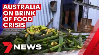 Farmers warn Australia is on the brink of a food crisis | 7NEWS