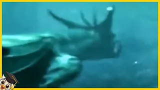 10 Criaturas Gigantes do mar Capturadas na Câmera