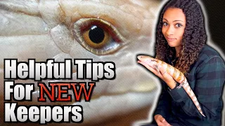 What I Wish I Knew BEFORE Getting A Blue Tongue Skink