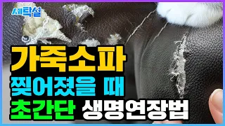 찢어진 가죽소파, 인조가죽 초간단 알뜰 수선으로 생명연장의 꿈~ 쉬워도 너무 쉽다 반려동물 키우는 집 필수 시청!