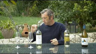 Taste with Brad . The November White Wine Selection