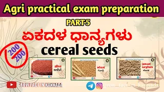 Part-5 cereal seeds | ಏಕದಳ ಧಾನ್ಯಗಳು|PRACTICAL EXAM |practical exam preparation #agri #practical_exam