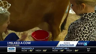 Iowa State Fair cow-milking experience returns