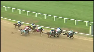 Laurel Park 11 27 2020 Race 6