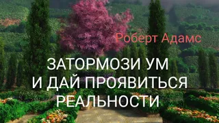 Затормози ум и дай проявиться реальности  [Роберт Адамс озв. Nikosho]