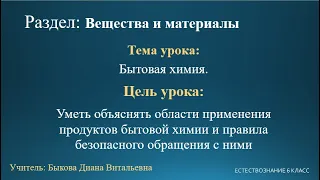 Естествознание 6 класс. Тема урока: Бытовая химия.