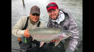 MASSSIVE 10 lb Rainbow Trout, Kenai River, ALASKA