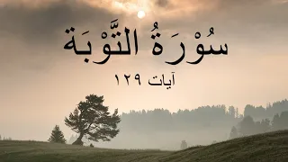 Surah At Taubah| Beautiful Voice| Soothing Recitation| Deep Sleep