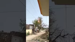 Tree on fire by electricity