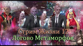 Логово Метаморфов ЖДИ МЕНЯ! 3-4 дня до конца марафона! Успею или нет? 10 окон Perfect World PW! 2022