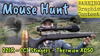 Mouse Hunt - Pest Control & Thermal Shooting with a 22LR Lithgow LA101