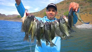 OWYHEE Reservoir Crappie Fishing SIGHT FISHING Catch N' Cook!!!