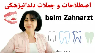 اصطلاحات و جملات دندانپزشکی | beim Zahnarzt