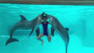 Dolphin girl