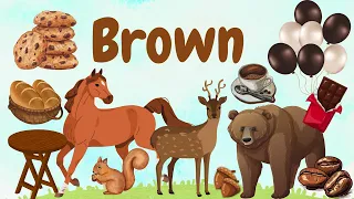 The color Brown : Fun Learning for Kids - Educational video - Kids vocabulary