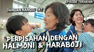 SAMPAI JUMPAH DI INDONESIA HALMONI HARABOJI...🥹 EPISODE TERAKHIR DI KOREA