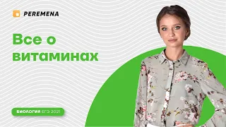 Все о витаминах | ЕГЭ БИОЛОГИЯ 2021 | PEREMENA