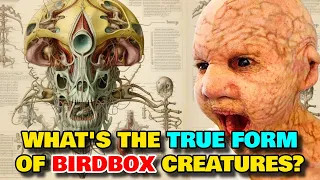 Birdbox Creature Anatomy - How Do The Birdbox Creatures Really Look Like? What's Their True Form?