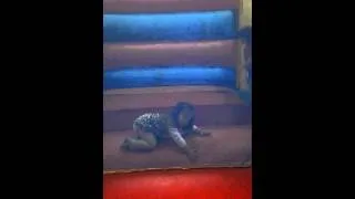 First time in the bouncy castle