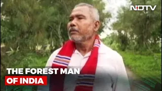 Meet Jadav Molai Payeng, The Forest Man of India