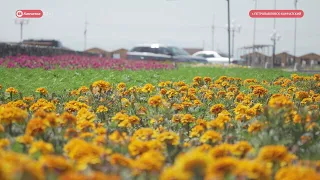 ВЫПУСК НОВОСТЕЙ ИА "КАМЧАТКА" ОТ 07.07.20