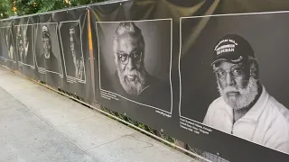 Black Vietnam Veterans honored in portrait project