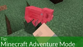 Minecraft Adventure (Game Mode) How To