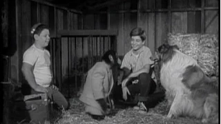 Lassie - Episode #87 - "Chimp" - Season 3 Ep. 22 -   03/03/1957