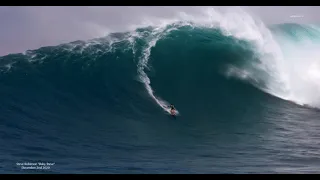 12 YEAR OLD "BABY STEVE" XXL PE'AHI (A DIFFERENT BREED)