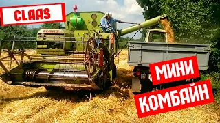 Уборка старим КОМБАЙНОМ Claas Corsar / Volvo S830 / LOVOL GM80 / MF 206