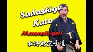 Sadashige Kato (9 Dan IJKA) Mawashi geri