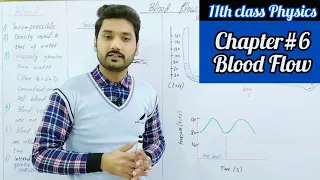 Blood flow | applications of Bernoulli's equation | class 11 physics | physics ka safar