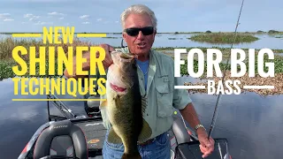 New shiner Techniques for Big Bass
