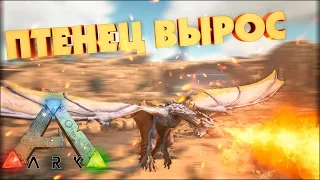 ВИВЕРНА ВЫРОСЛА - ARK SCORCHED EARTH - Соло Выживание в.22