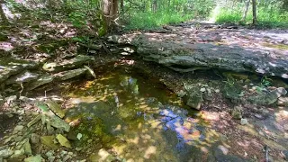 Cool spot in creek bed on 300 acres with Seller Financing in Missouri Ozarks! - InstantAcres.com