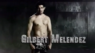 Gilbert Melendez Highlight 2015