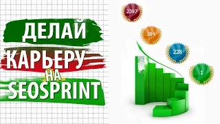 Заработок в интернете на SeoSprint как легко создать свое задание