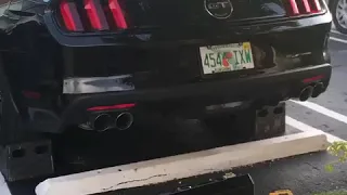 MUSTANG 5.0 ROUSH EXHAUST SOUND