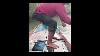 INI YANG TERBESAR..!! SELAMA MANCING DI SUNGAI KECIL..!!