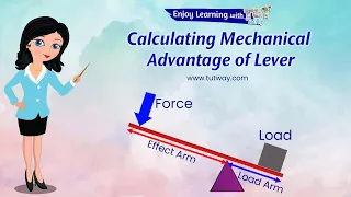 Simple Machines - Levers | Mechanical Advantage of a Lever | Examples of Levers | Science