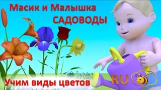 Мультики для самых маленьких. Масик и Малышка садоводы. Учим виды цветов для детей малышей